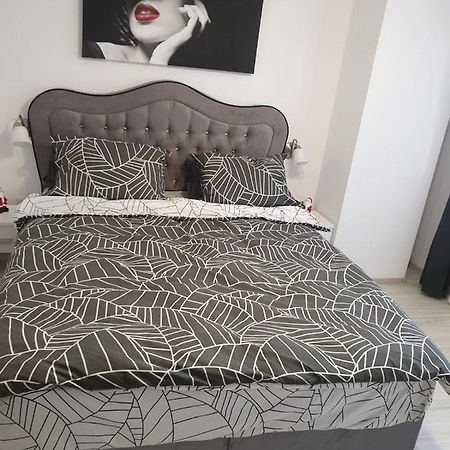 Topaz Central Apartment Bacău Exteriér fotografie