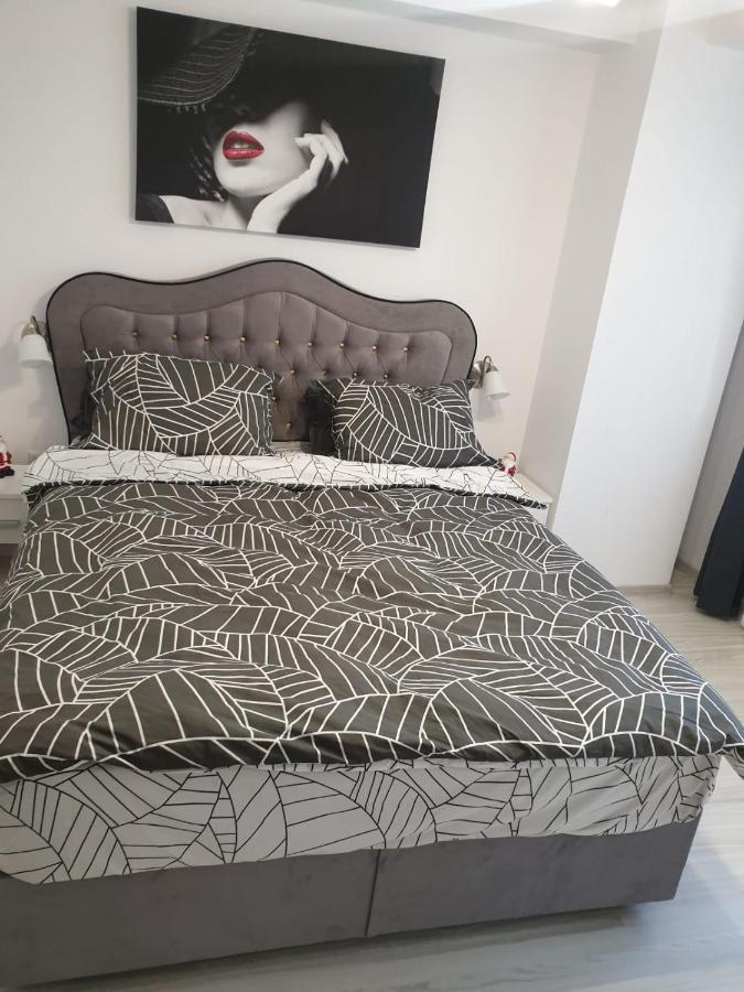 Topaz Central Apartment Bacău Exteriér fotografie